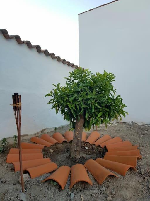Casa Da Enxota Villa Povoa de Sao Miguel ภายนอก รูปภาพ